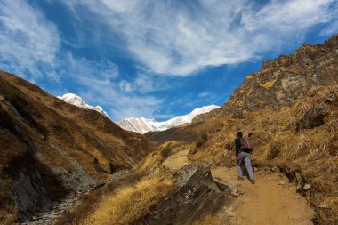 Nepal Himalaya Annapurna Merkez kampına trekking. Annapurna