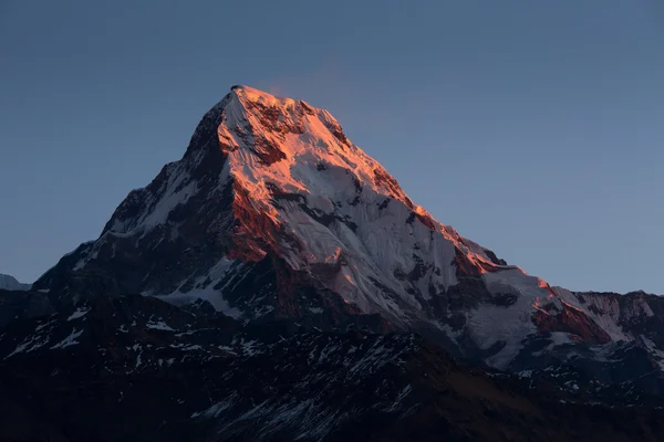 अन्नपूर्णा मी हिमालया पर्वत सूर्यप्रकाशात पून हिल 3210 मीटर पासून पहा — स्टॉक फोटो, इमेज