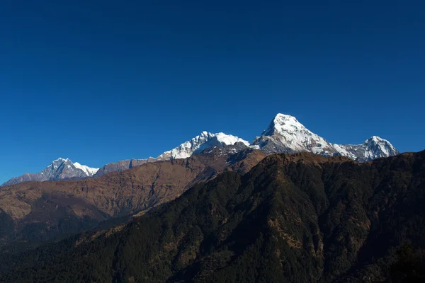 Machhapuchchhre mountain - Fish Tail in English is a mountain in — Stock Photo, Image