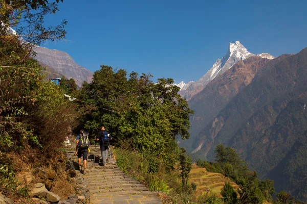 Machhapuchchhre mountain - Fish Tail in English is a mountain in — Stock Photo, Image