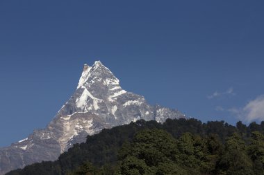 Machhapuchchhre mountain - Fish Tail in English is a mountain in clipart