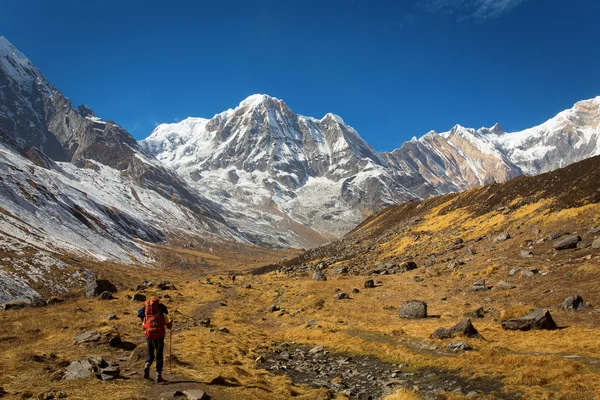 Trekking na Annapurna základního tábora s Annapurna I v pozadí — Stock fotografie