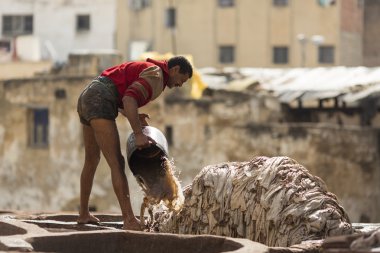 Fez, Fas - Nisan 19: İşçiler Deri Fabrikası'nda gerçekleştirmek 