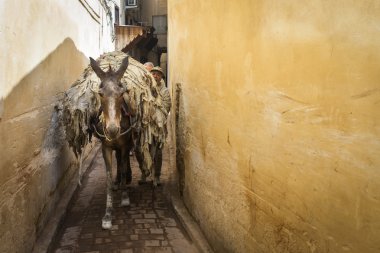 Fes, Fas, 19 Nisan: Fes, Morocco sokakta yürüyen insanlar