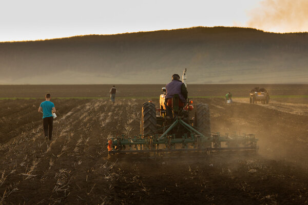 Family working the field with hand and tractor. People doing cla