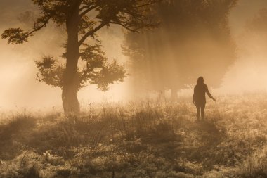 Ormanda bir sisli sabah Meditasyon kadın silüeti