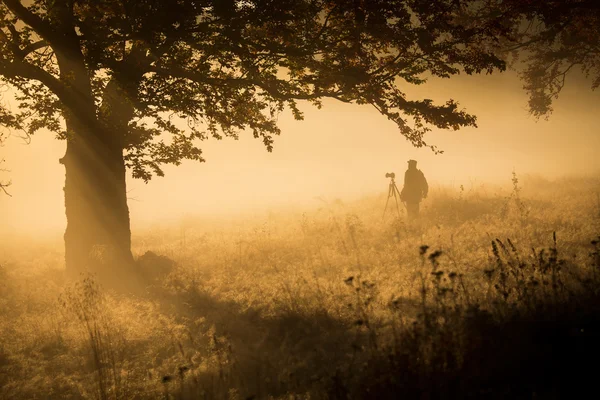 Silhouet van een jonge fotograaf tijdens een mistige sunrise. — Stockfoto