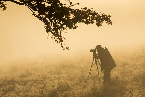 Silhouette of a young photographer during a foggy sunrise. — Stock Photo, Image