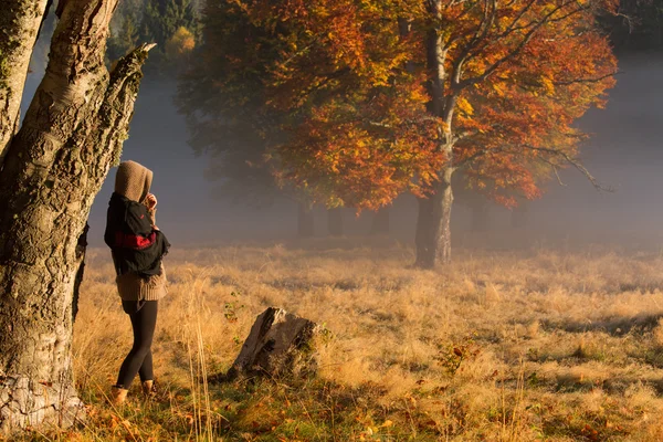 Sylwetka kobiety medytacji w lesie w mglisty poranek — Zdjęcie stockowe