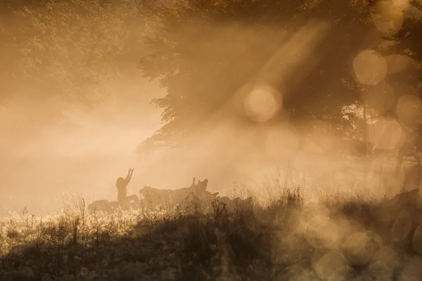 Silhouette de femme méditant en forêt dans un matin brumeux — Photo