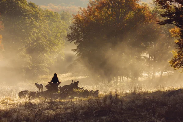 Sylwetka kobiety medytacji w lesie w mglisty poranek — Zdjęcie stockowe