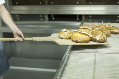 Modern fırın fırında brad yaptırmayı adam