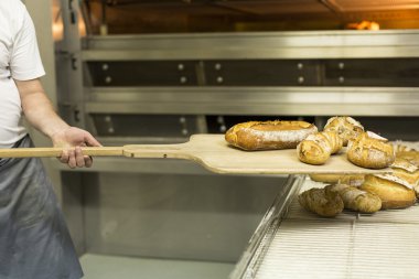 Modern fırın fırında brad yaptırmayı adam