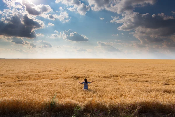 Chica entre un campo de trigo — Foto de Stock