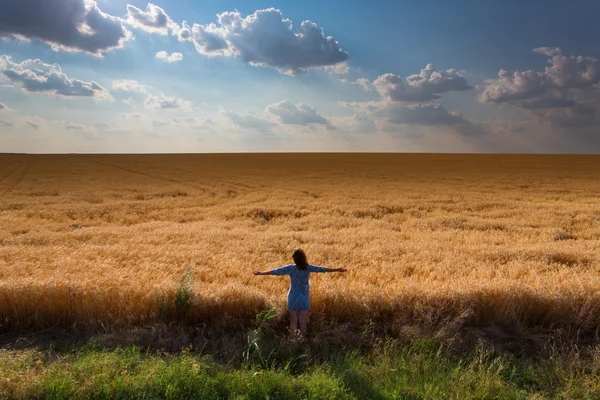 小麦畑の中の女の子 — ストック写真