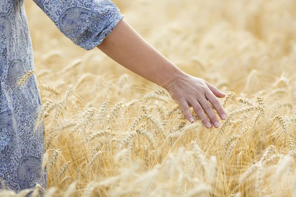 Meadow grass in the morning sun, young woman walking — Stock Photo, Image