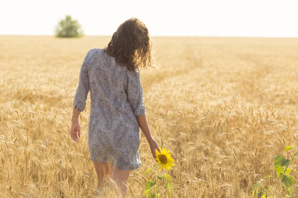 Donna che tocca il fiore di sole su un campo di whea — Foto Stock