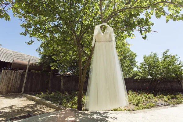 White Wedding dress hanging on a tre — Stock Photo, Image