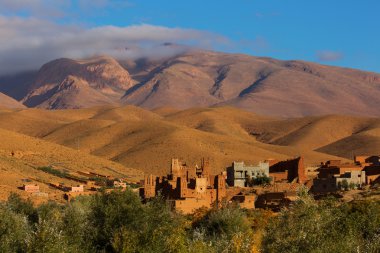 Gorges de Dades, Atlas dağ Fas. Maymun parmak.