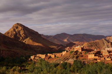 Gorges de Dades, Atlas dağ Fas. Maymun parmak.