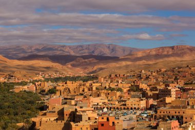 Gorges de Dades, Atlas dağ Fas. Maymun parmak.