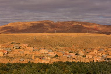 Gorges de Dades, Atlas dağ Fas. Maymun parmak.