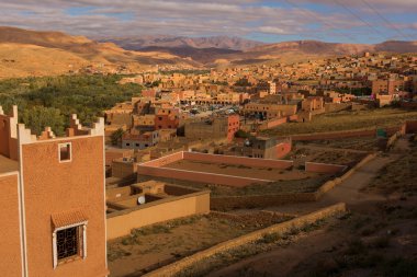 Gorges de Dades, Atlas dağ Fas. Maymun parmak.