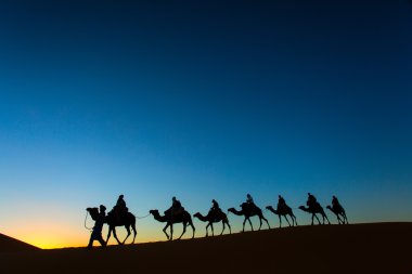 Deve kervan çölde günbatımında gidiş Sillhouette 