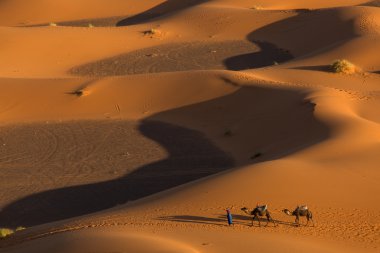 Berber ile çöl deve karavan karavan önünde