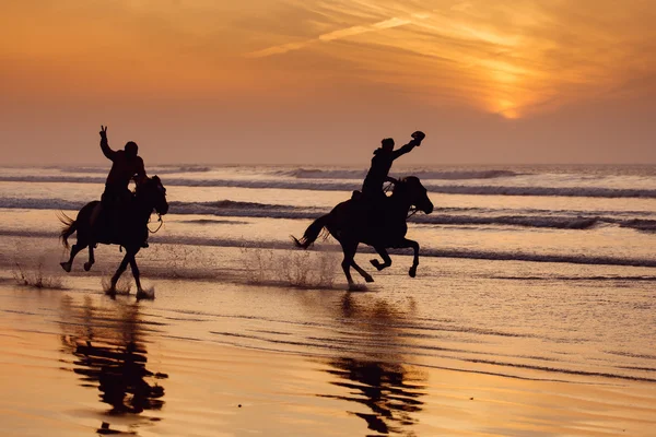 Silhouet van een paard en ruiter galopperen op strand van sunse — Stockfoto