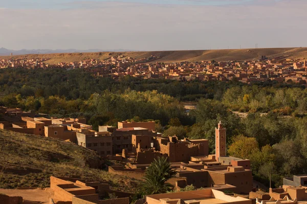 Gorges de Dades, Atlas dağ Fas. Maymun parmak. — Stok fotoğraf