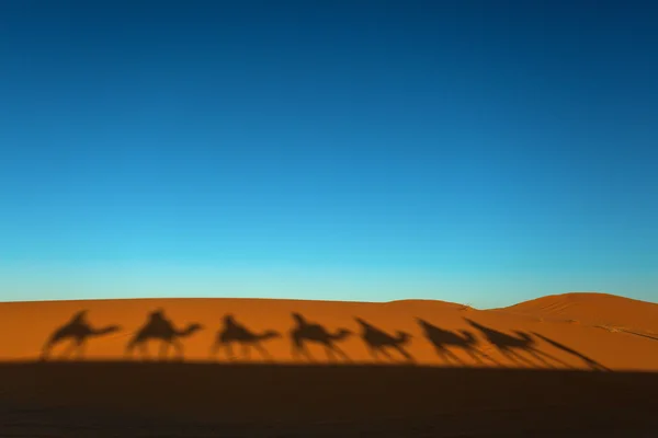 在撒哈拉沙漠中的骆驼商队 — 图库照片