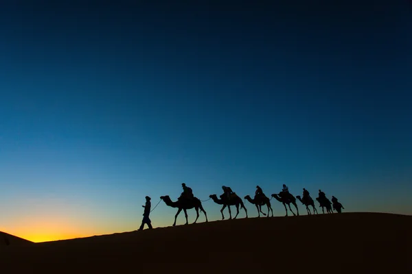 Sillhouette de caravana de camelo atravessando o deserto ao pôr do sol — Fotografia de Stock