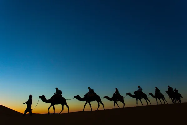 Sillhouette av kamel karavan går genom öknen i solnedgången — Stockfoto