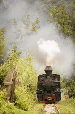 Eski tren yeşil orman büyük dumanlı
