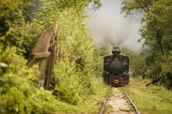 Старый винтажный поезд в зеленом лесу с большим дымом — стоковое фото