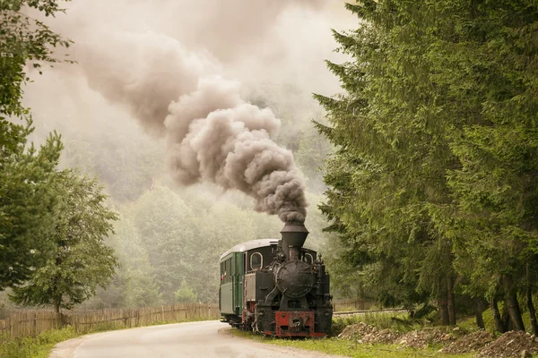 Vieux train vintage en forêt avec fumée blanche — Photo