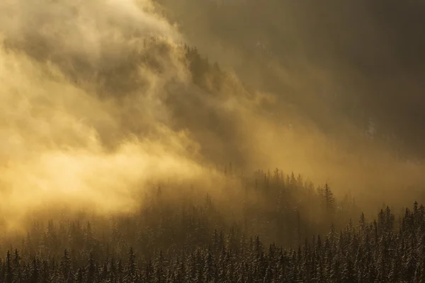 Tramonto invernale sulle nuvole - Vista panoramica — Foto Stock