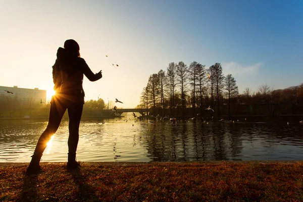 Frau wirft Möwen bei Sonnenaufgang Futter auf See — Stockfoto