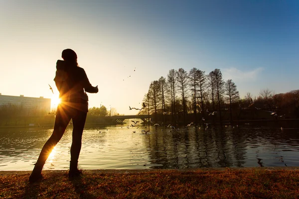Женщина бросает еду чайкам на озеро на рассвете — стоковое фото