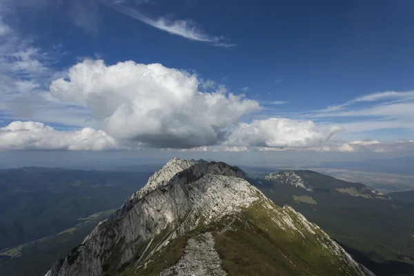 Frühlingslandschaft und Piatra Craiului Berge im Hintergrund, tra — Stockfoto