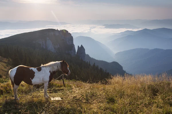 Jízda přes hory s mraky — Stock fotografie