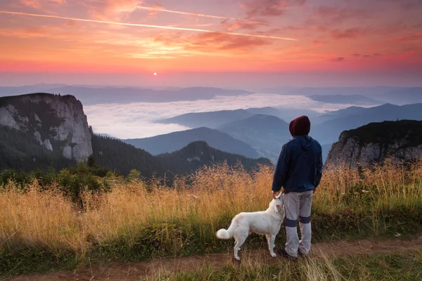 El hombre y su fiel amigo el perro admiran el paisaje de montaña — Foto de Stock