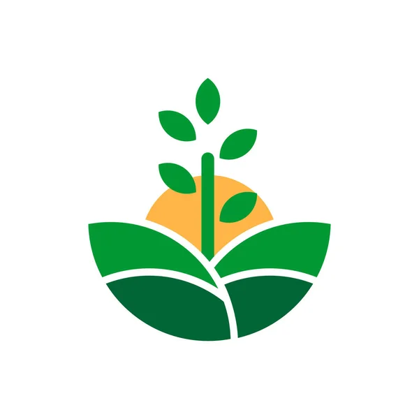 Plante Verte Design Logo Moderne — Image vectorielle