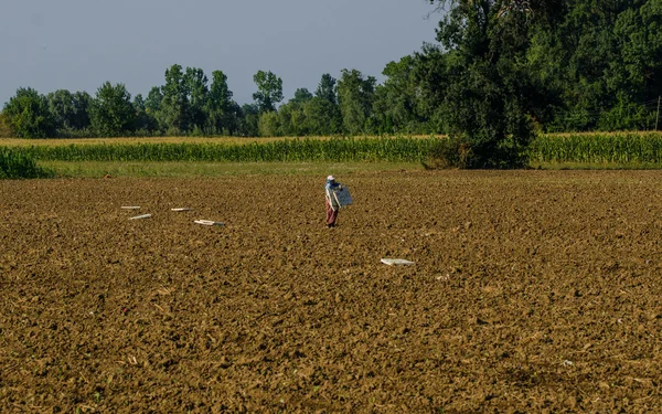 Säsongsbetonade kvinnor arbetstagare inom jordbruksproduktionen i Anatolien — Stockfoto
