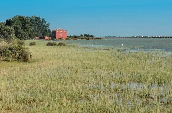 Zonas húmidas no delta de Kizilirmak — Fotografia de Stock