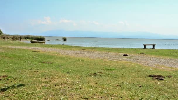 Водно-болотних угідь у дельті Kizilirmak Чорного моря провінція Туреччини — стокове відео