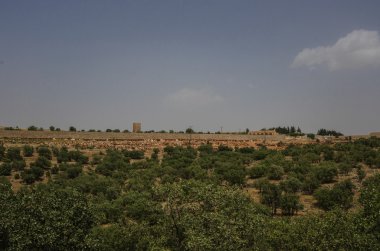 Avlu Mor Gabriel Manastırı