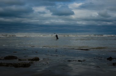 İhtiyar bir cast net kullanarak Balık tutma