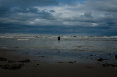 Karadeniz üzerinde net balıkçılık döküm